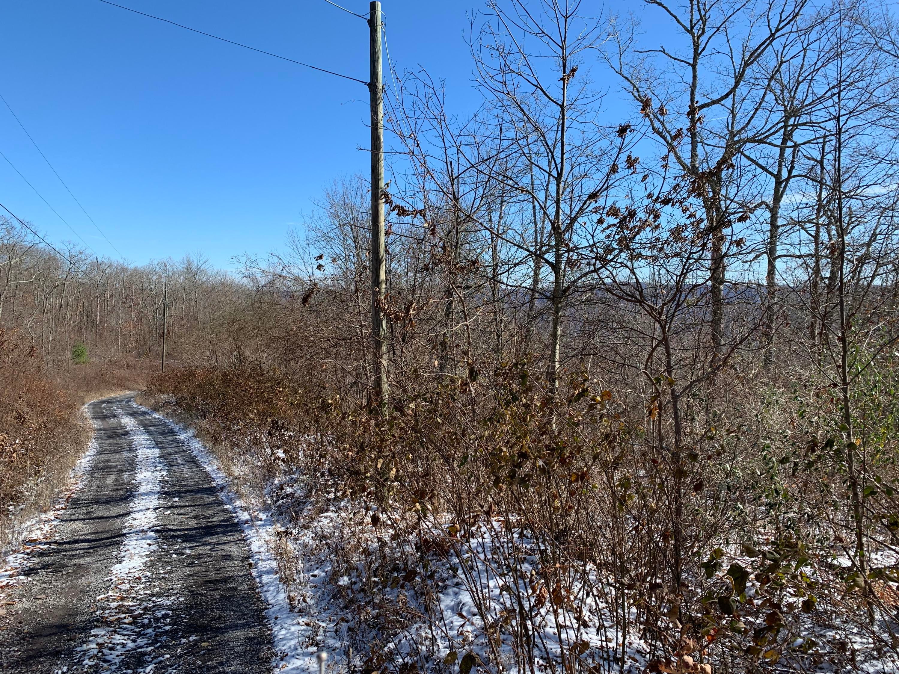 Crowder Road Gap Mills, WV 24941 - Photo 4 of 8 Gallery Image 4