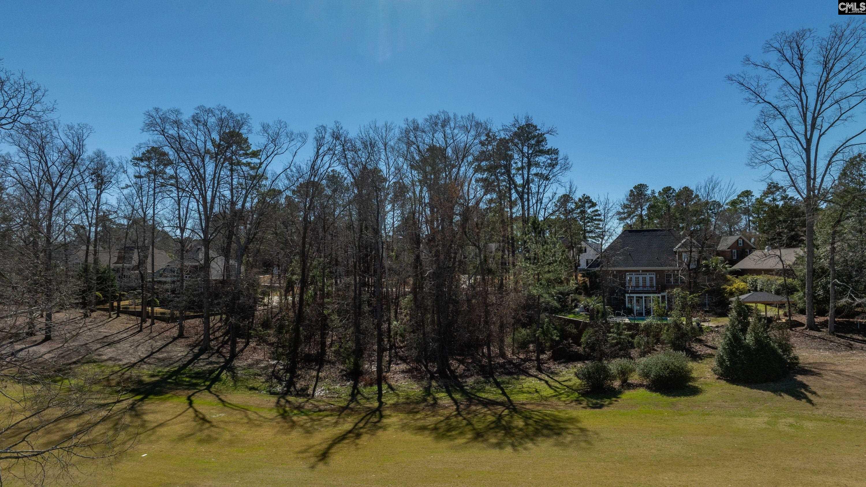 329 Oxenbridge Way Chapin, SC 29036 - Photo 12 of 29