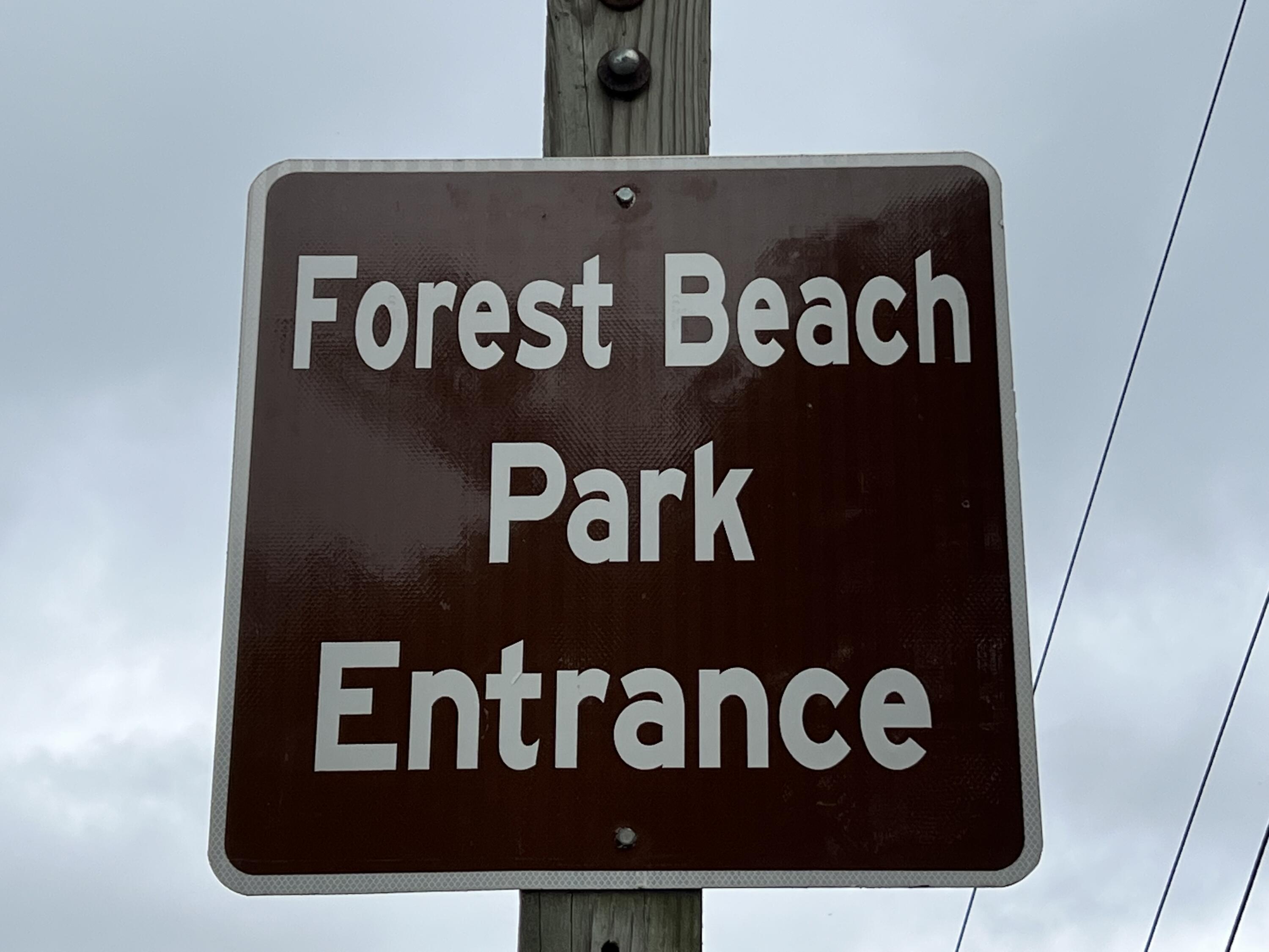 8263 Forest Beach Road Watervliet, MI 49098 - Photo 17 of 18 IMG-4032