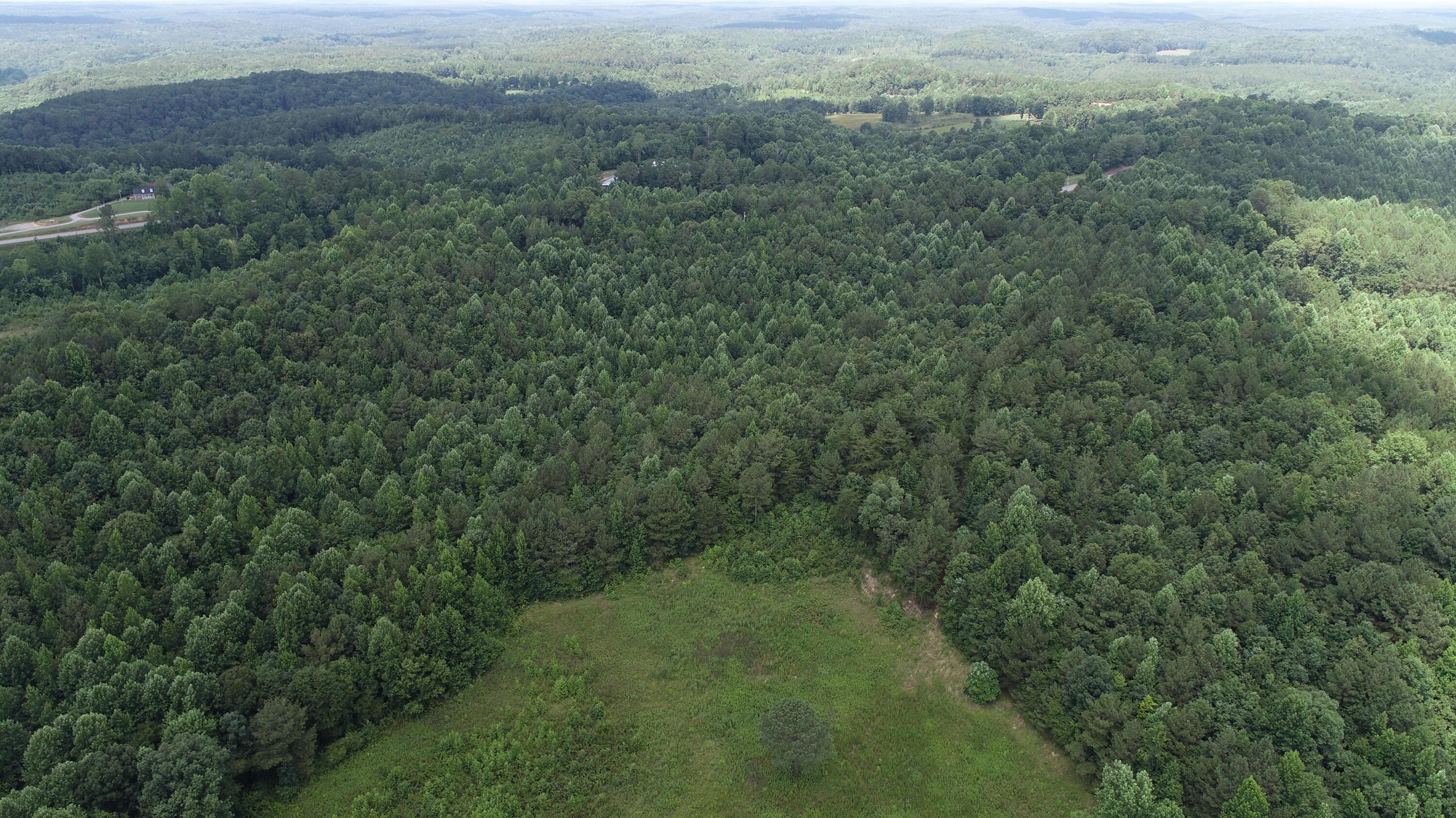 0 Us-278 Addison, AL 35540 - Photo 21 of 23 Gallery Image 21