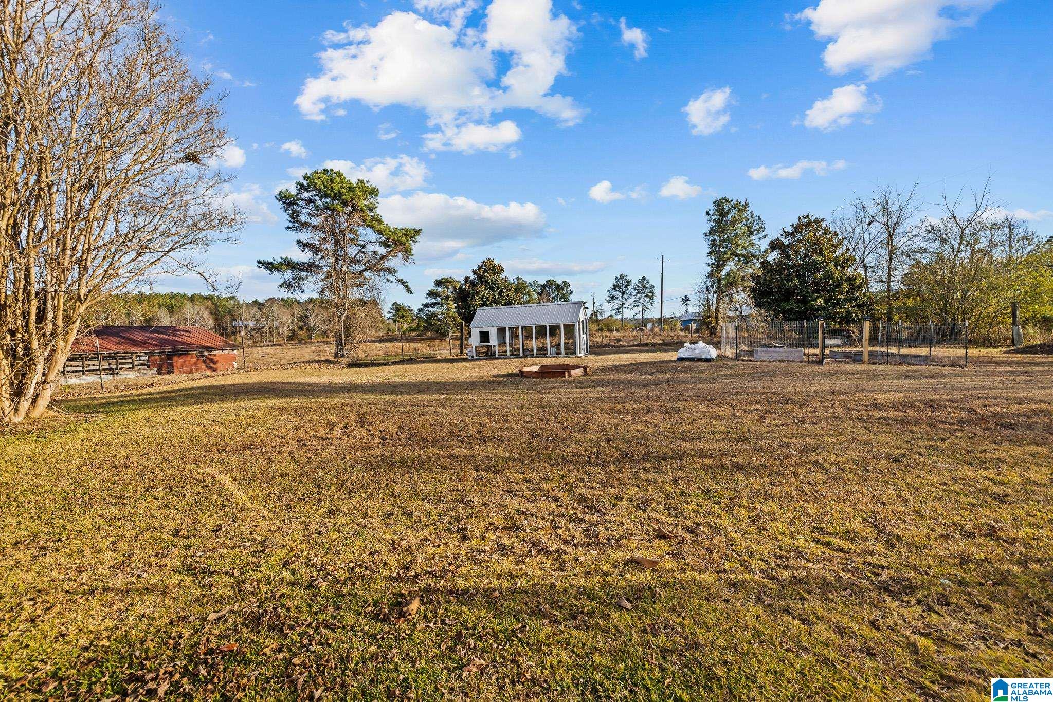 1097 Jones Chapel Road Springville, AL 35146 - Photo 39 of 44