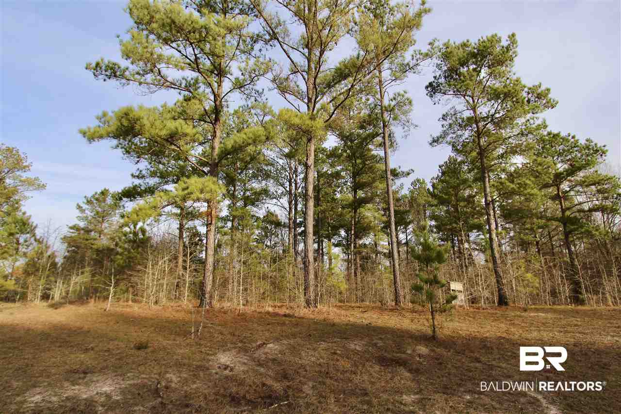 0 Sexton Brg Road Luverne, AL 36049 - Photo 11 of 50