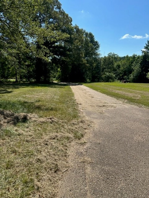 184 Jessie Wallace Road Jayess, MS 39641 - Photo 12 of 23 Photo 13