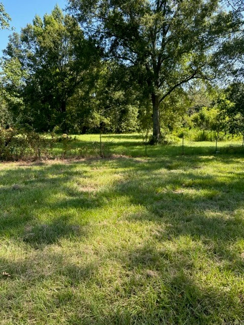 184 Jessie Wallace Road Jayess, MS 39641 - Photo 5 of 23 Photo 5