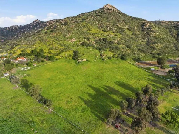 a view of a big yard with lots of plants and mountain view
