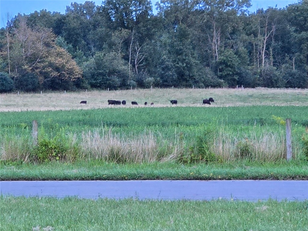 119 Burnt Mill Road Riga, NY 14428 - Photo 31 of 38 Gallery Image 31