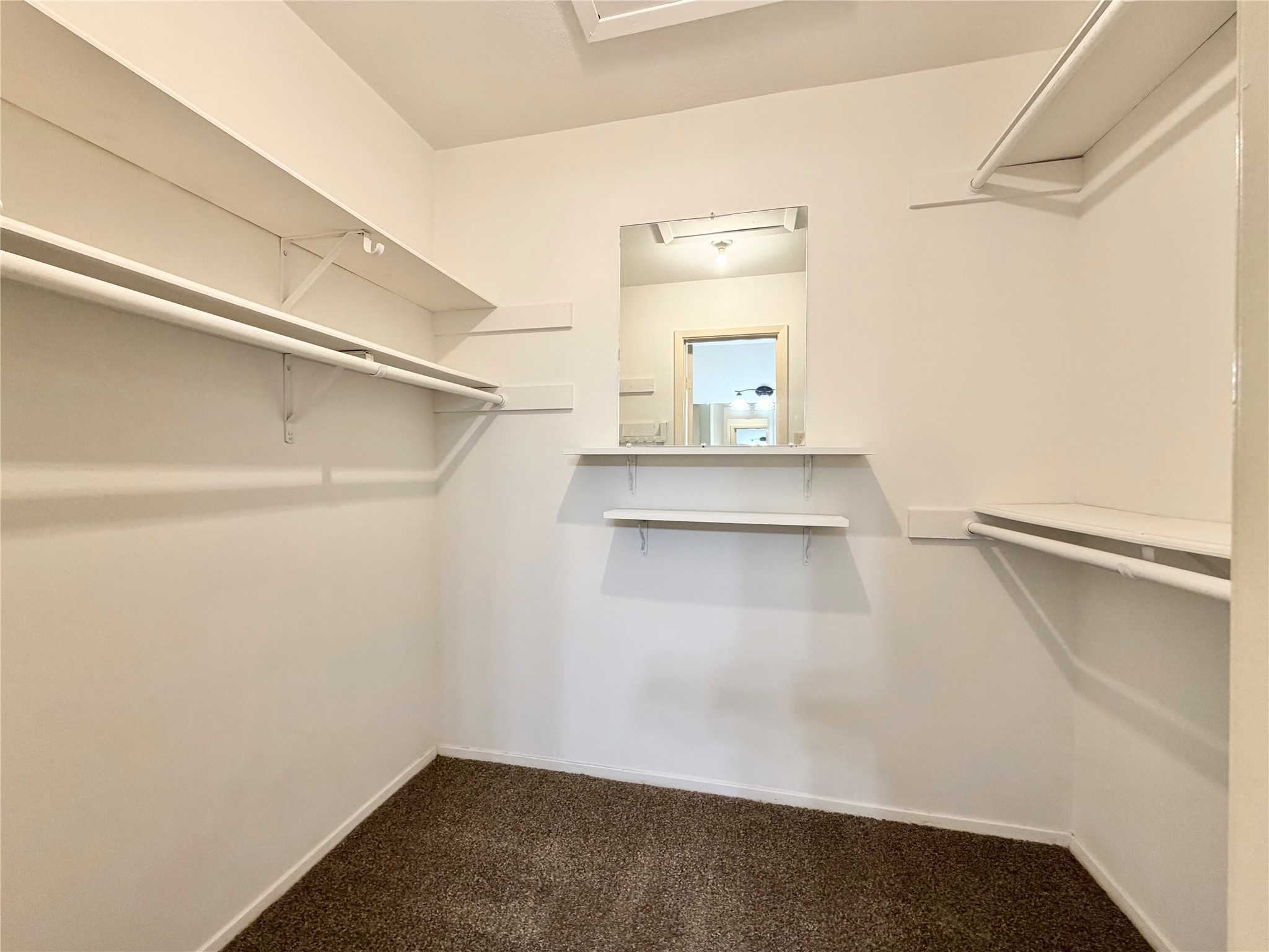 14555 Wunderlich Drive, Unit 2602 Houston, TX 77069 - Photo 19 of 30 Primary walk in closet