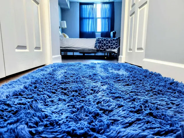 $2,800 | 300 South Duval Street, Unit 812, Tallahassee, FL 32301