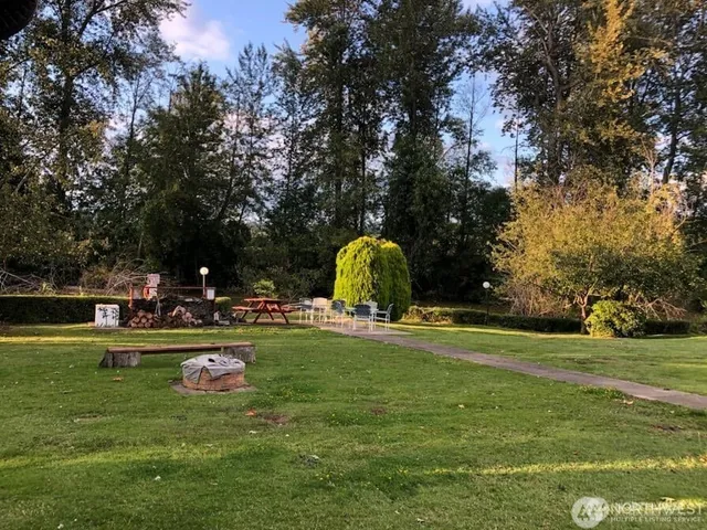 a view of a park with large trees