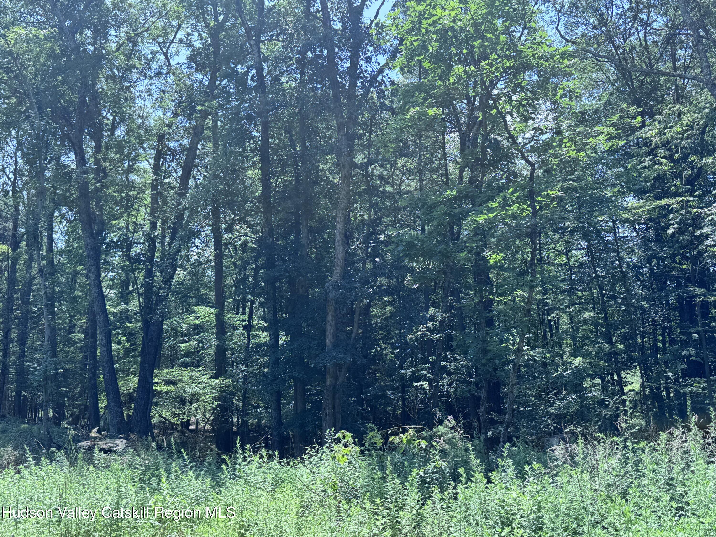 86 Goat Hill Road Saugerties, NY 12477 - Photo 11 of 15 IMG-4134