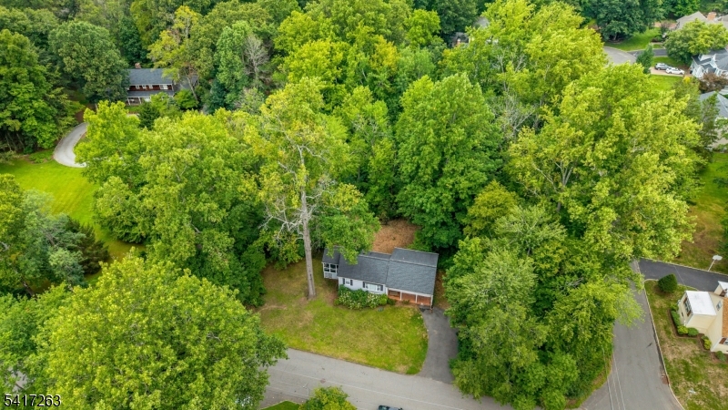 50 Mountainview Road Chatham, NJ 07928 - Photo 35 of 39 Gallery Image 35