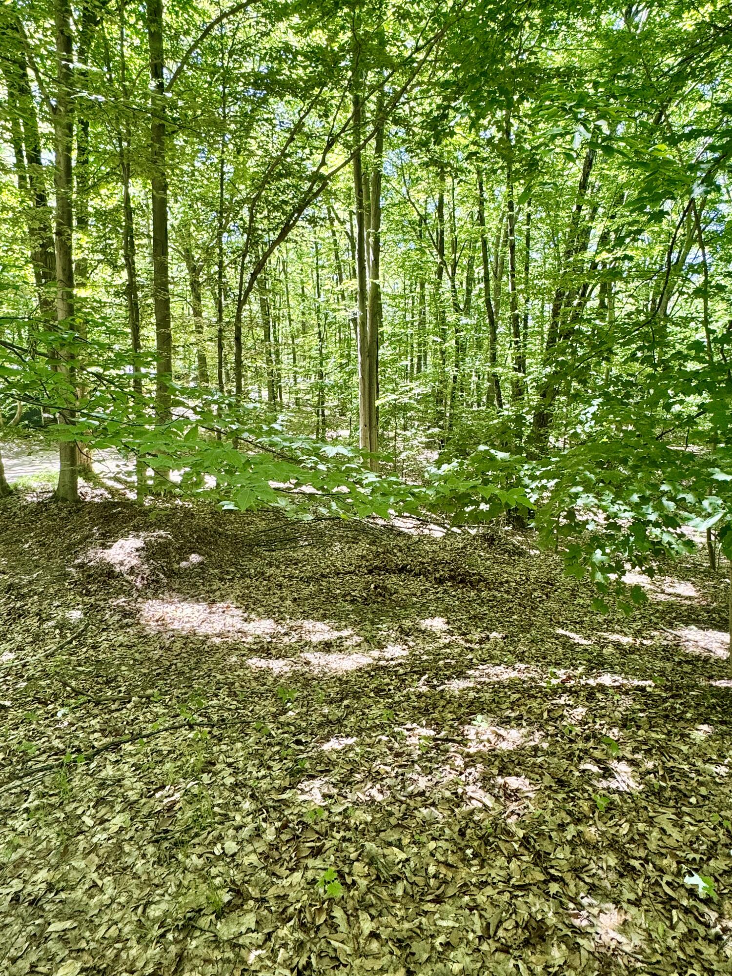 5110 Inner Loop Drive Custer, MI 49405 - Photo 25 of 31 Nicely Wooded