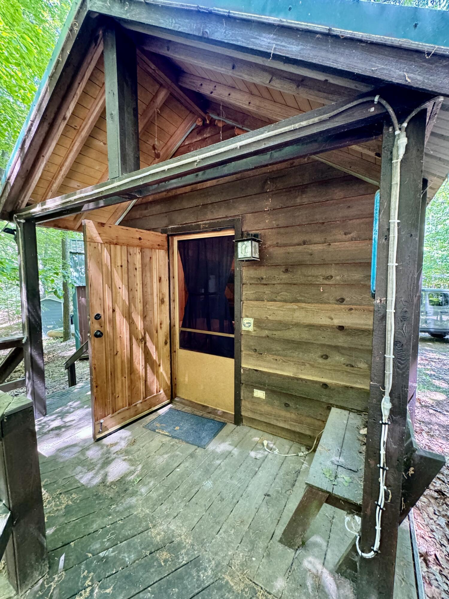 5110 Inner Loop Drive Custer, MI 49405 - Photo 3 of 31 Rustic Cabin