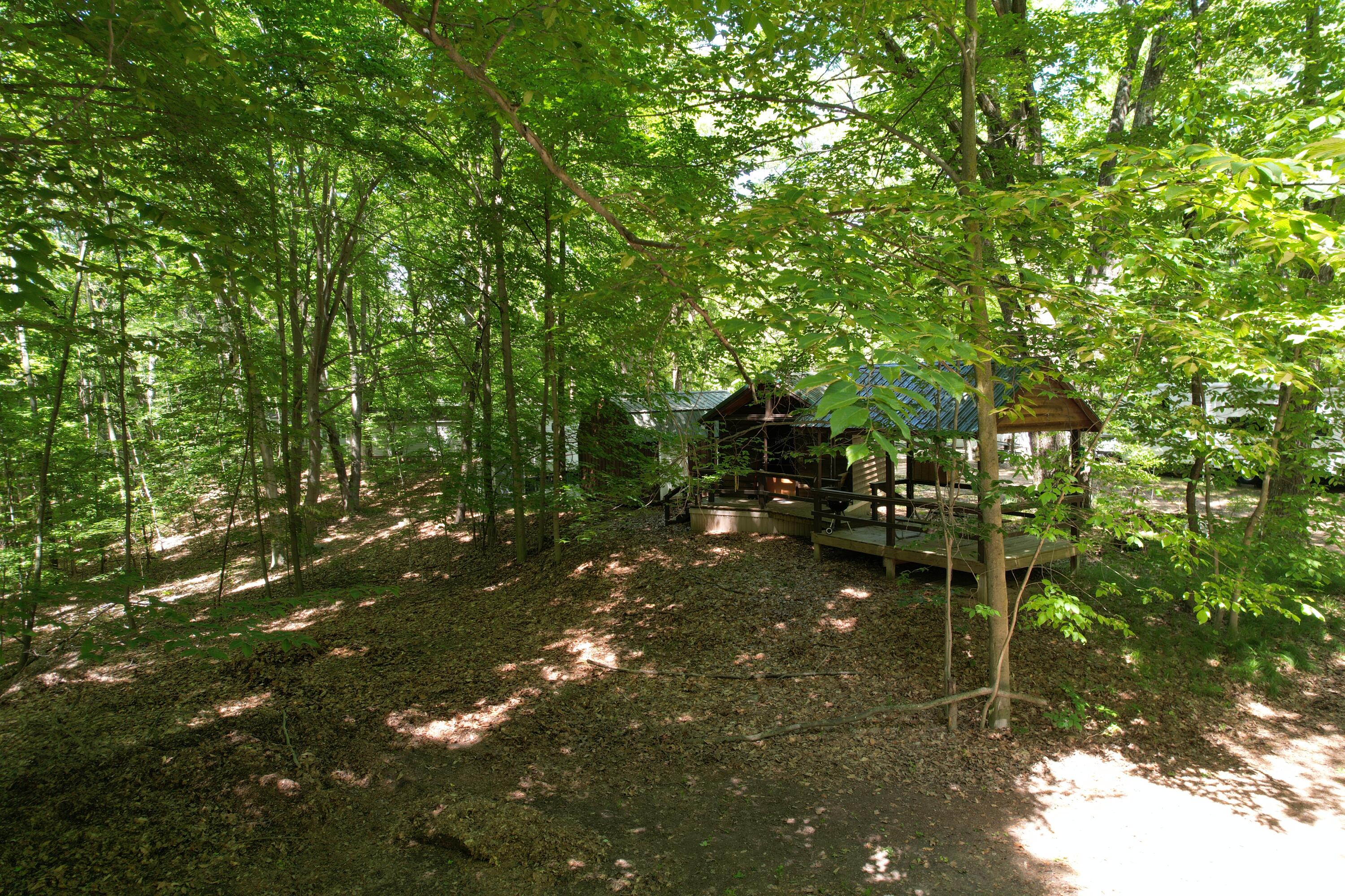 5110 Inner Loop Drive Custer, MI 49405 - Photo 8 of 31 Overlooking the Woods