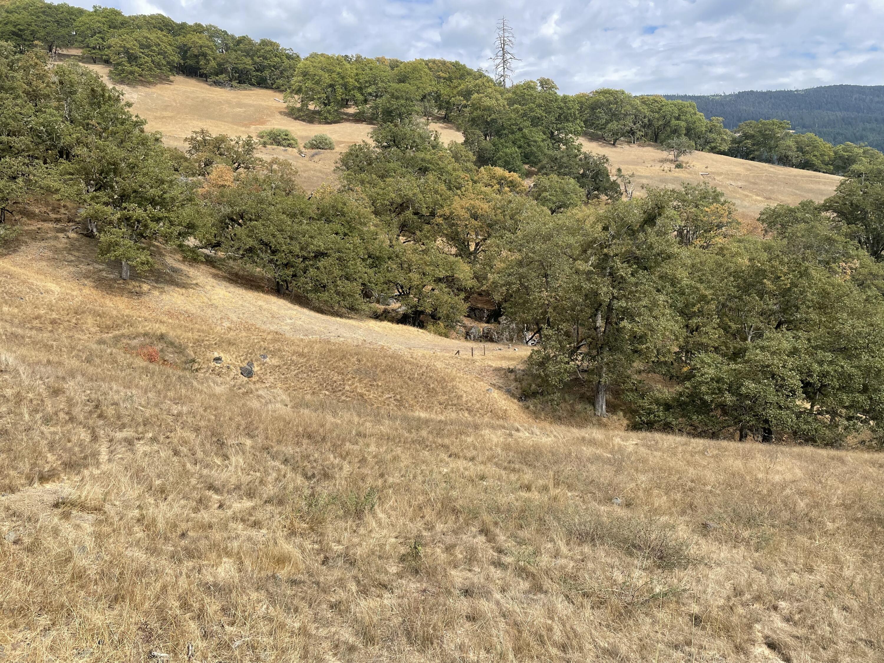 40-acres 40-acres Ridge Road Mad River, CA 95526 - Photo 15 of 28