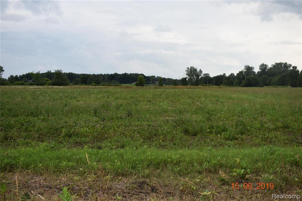 Parcel B & C Parcel B & C Daley Road Lapeer, MI 48446 - Photo 2 of 2