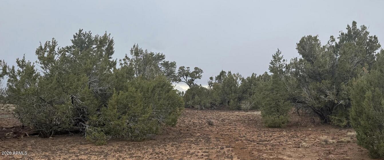 3 Acr 8128 Road, Unit 250 Concho, AZ 85924 - Photo 3 of 3