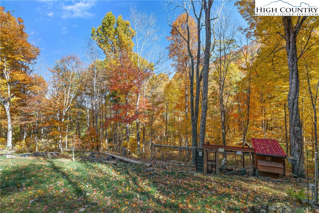 845 Silverleaf Road Zionville, NC 28698 - Photo 45 of 49 Gallery Image 45