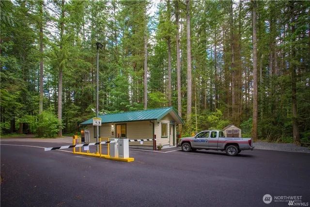 a view of a park with large trees
