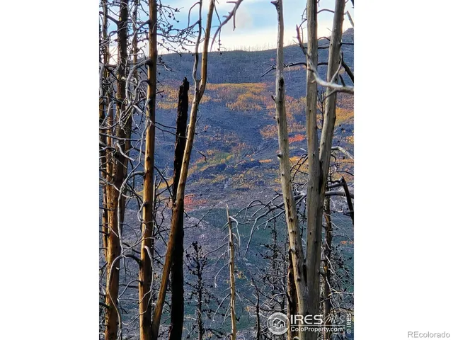 a view of a pathway of a building