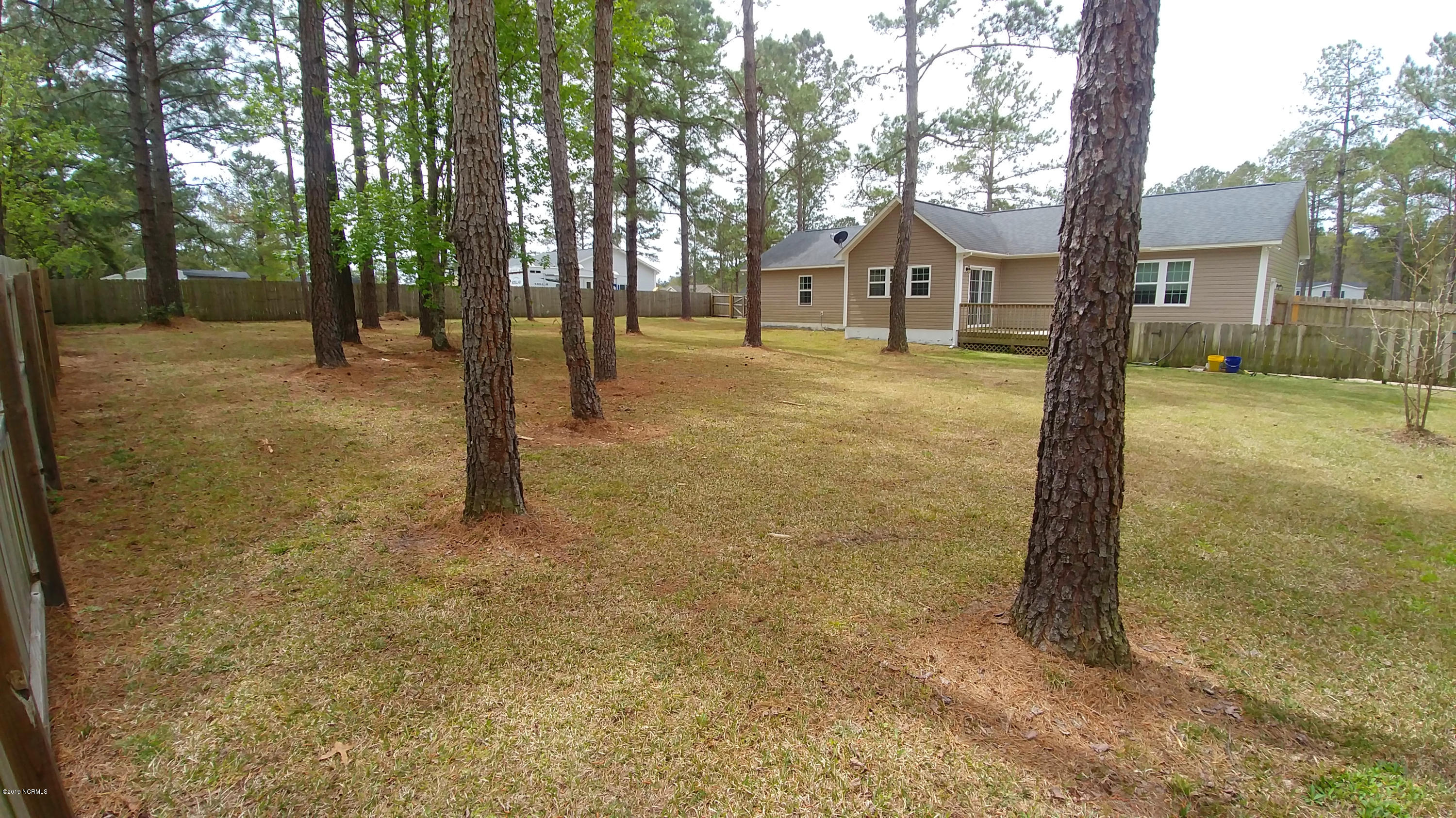 117 Brian's Woods Road Maple Hill, NC 28454 - Photo 20 of 20 4-12-19 119-