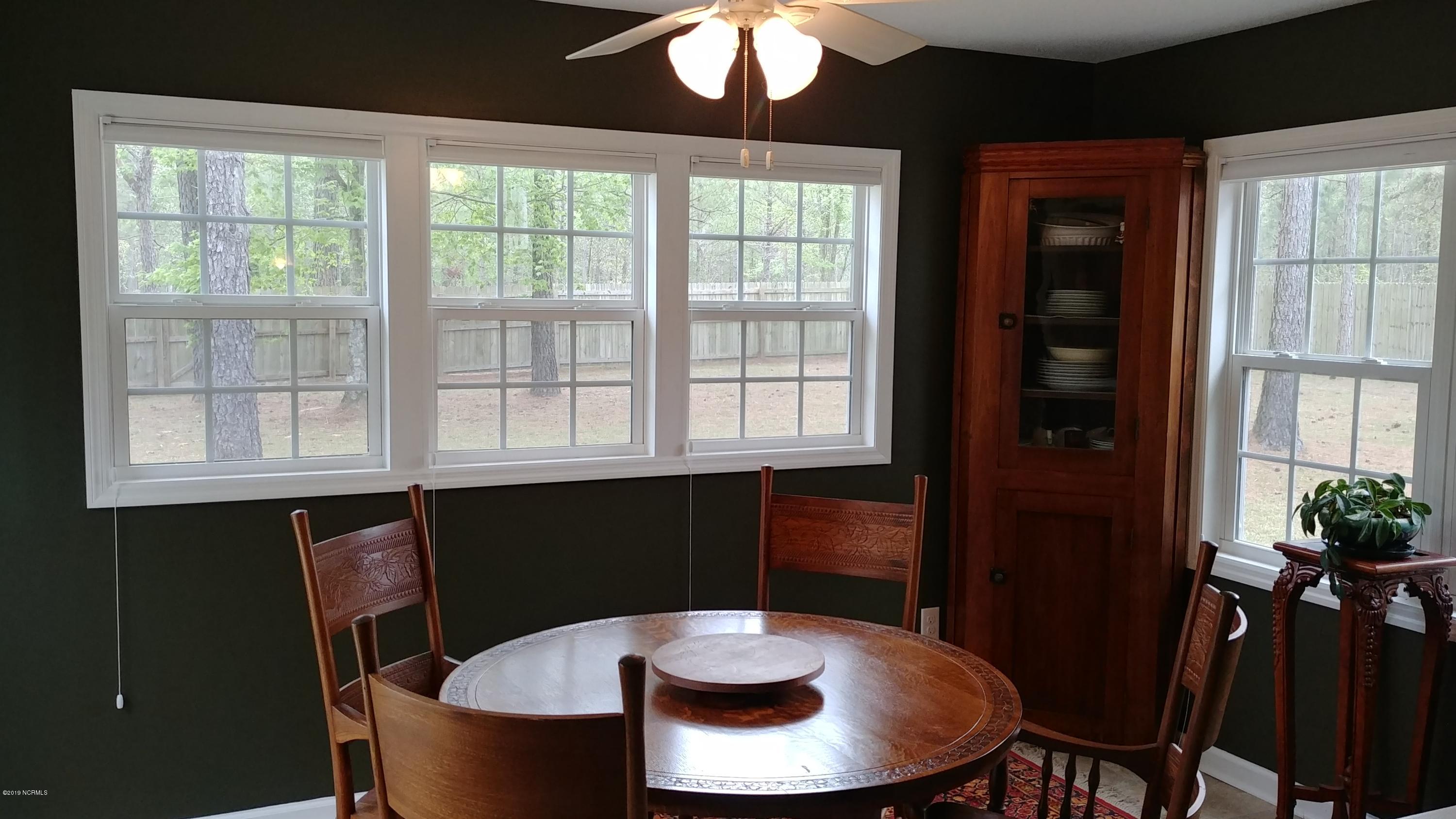 117 Brian's Woods Road Maple Hill, NC 28454 - Photo 8 of 20 4-12-19 022