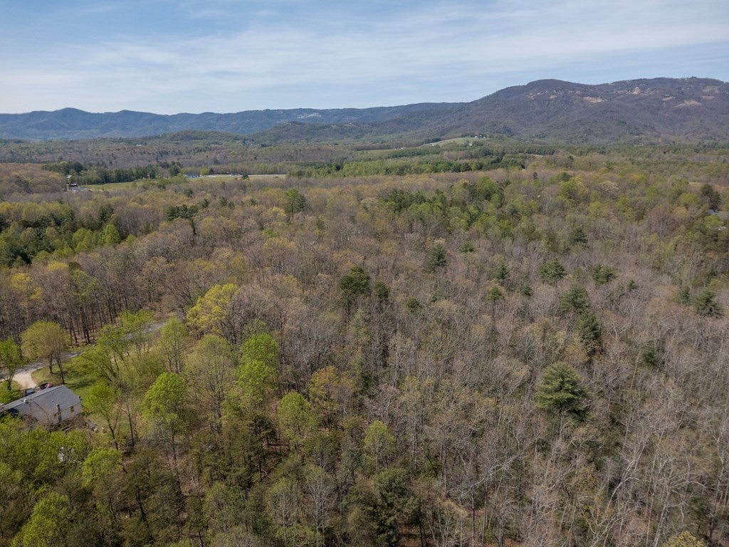 Tbd Meadowbrook Road, Unit 15481 Cana, VA 24317 - Photo 23 of 24 Gallery Image 23