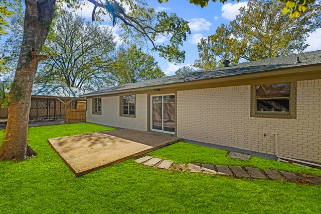 a view of a backyard with a large tree