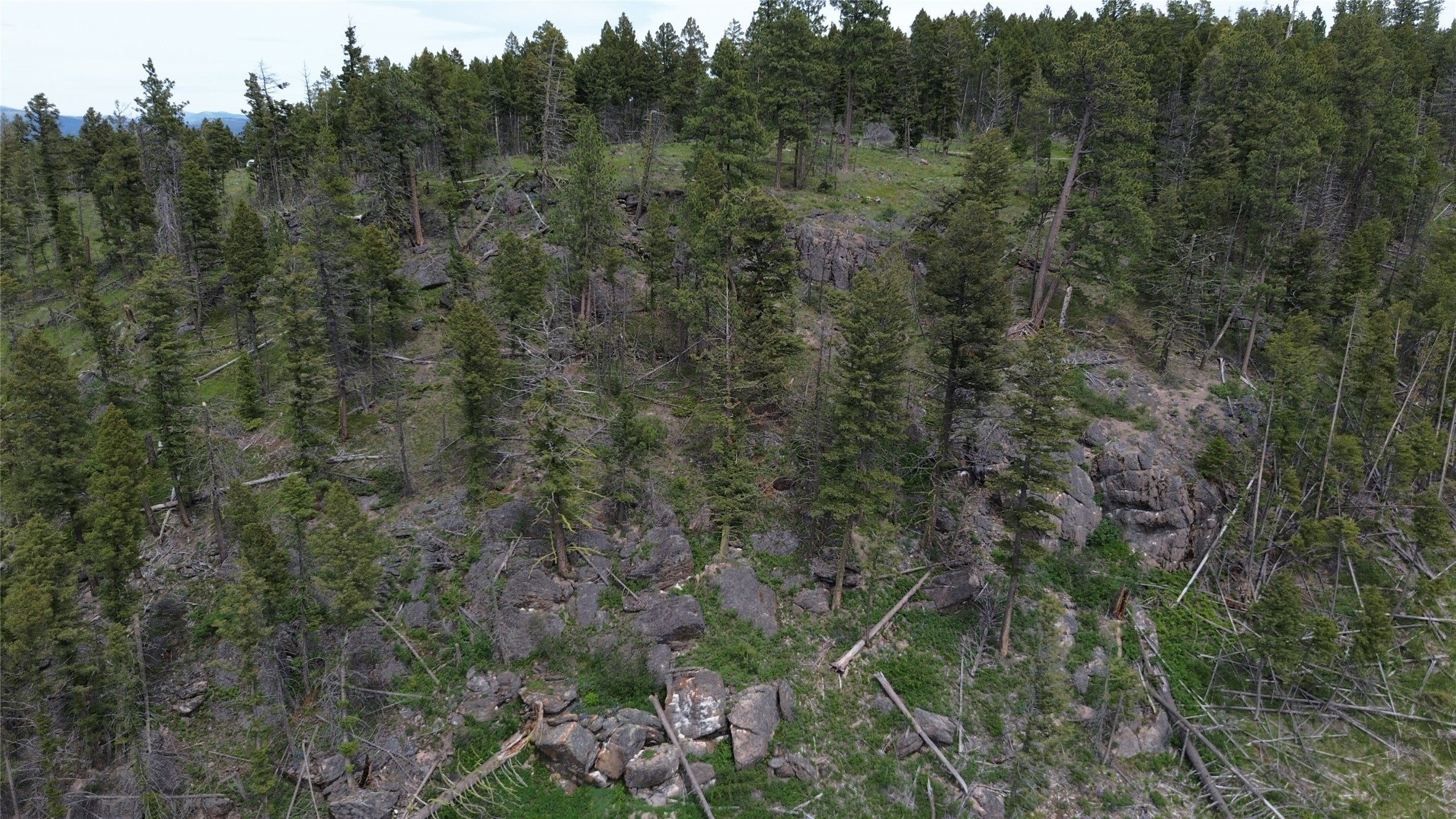 3595 Bear Gulch Road Lincoln, MT 59639 - Photo 34 of 57 Gallery Image 34