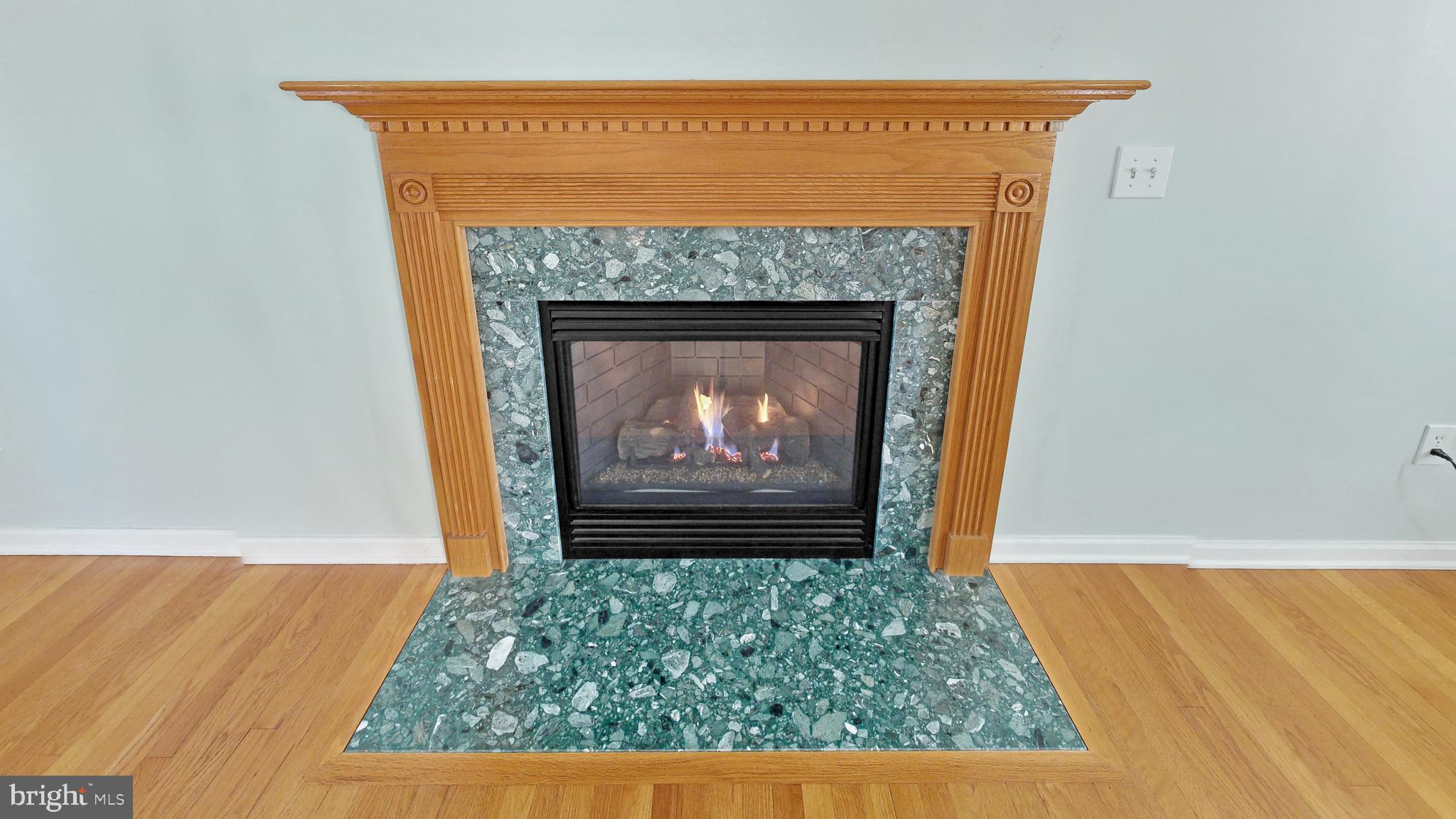 116 Greenbrier Drive Bear, DE 19701 - Photo 19 of 74 Gas Fireplace