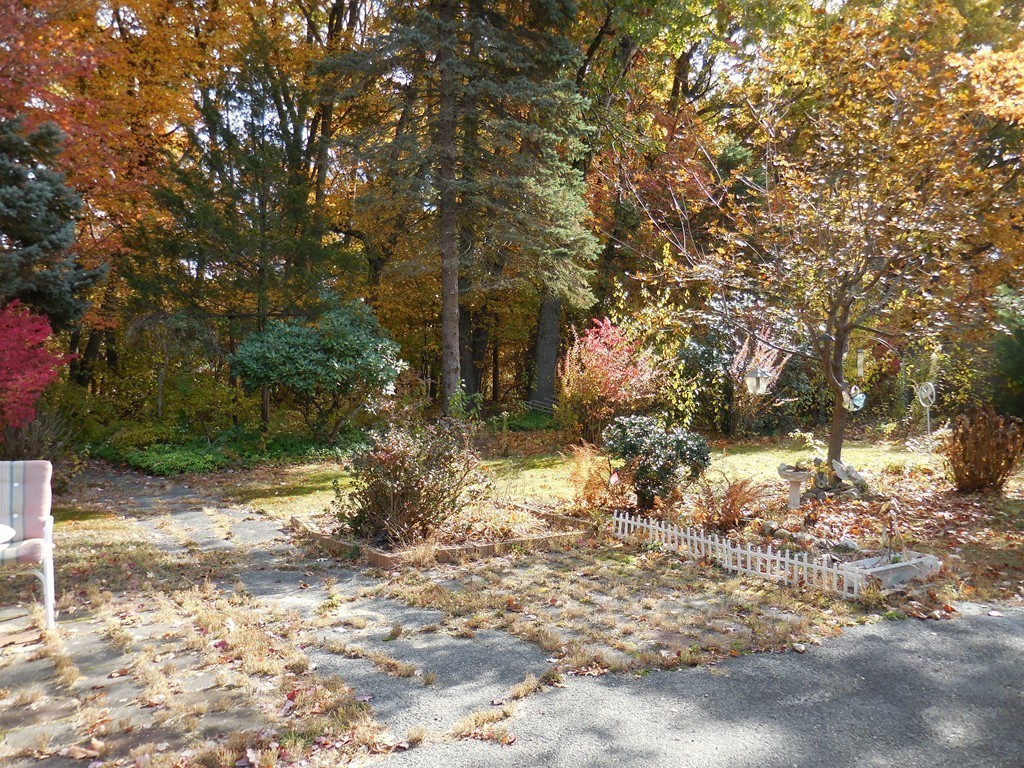 143 Methuen Street Springfield, MA 01119 - Photo 29 of 30 Gallery Image 29