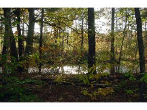 24 Sawyer Road Lee, NH 03861 - Photo 4 of 5