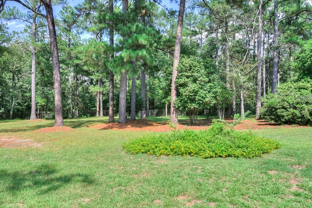 4215 Hardy Road Martinez, GA 30907 - Photo 6 of 7 Gallery Image 6