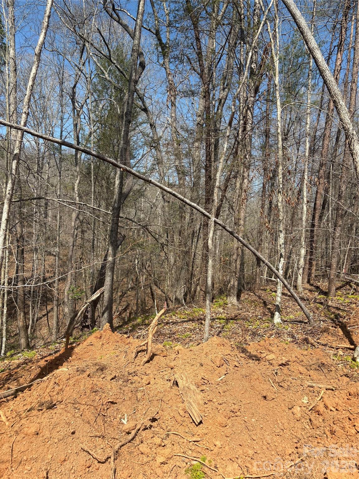 Tbd Avenida De Oro Road, Unit 3 2 Morganton, NC 28655 - Photo 2 of 4 a view of wooden fence