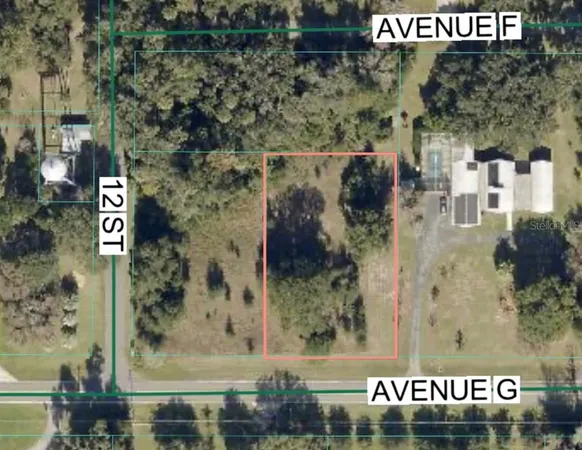$63,000 | Avenue G Mc Intosh, Micanopy, FL 32667