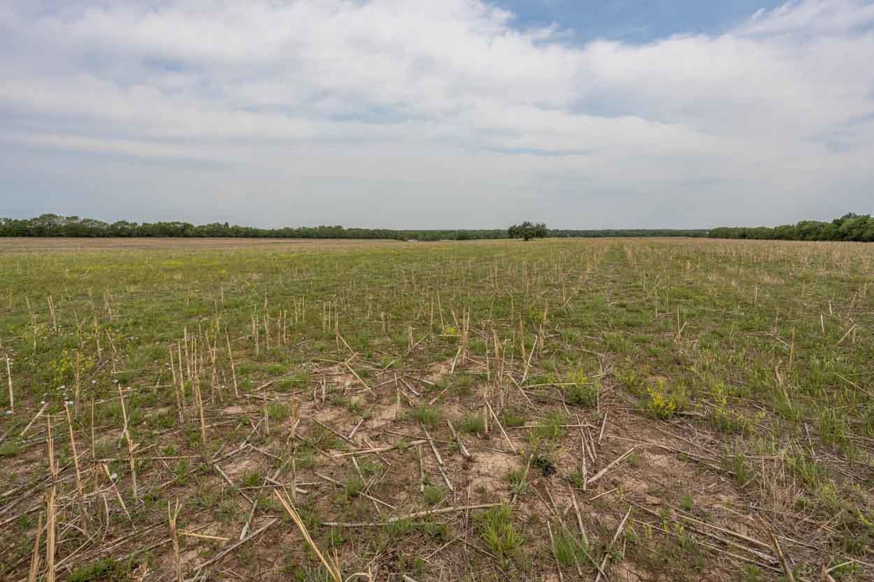 0 Southwest Luna Road El Dorado, KS 67042 - Photo 14 of 17