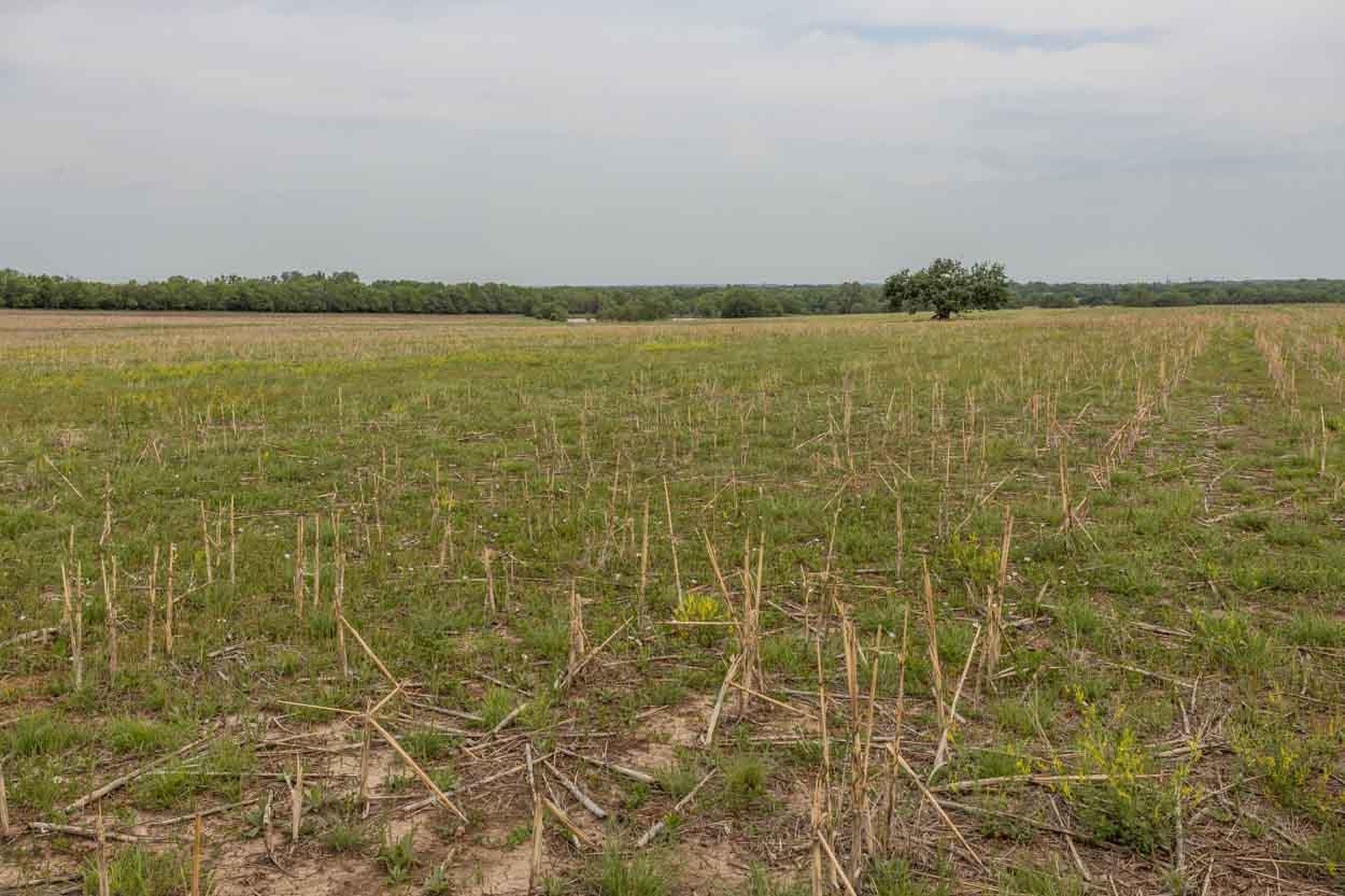 0 Southwest Luna Road El Dorado, KS 67042 - Photo 15 of 17