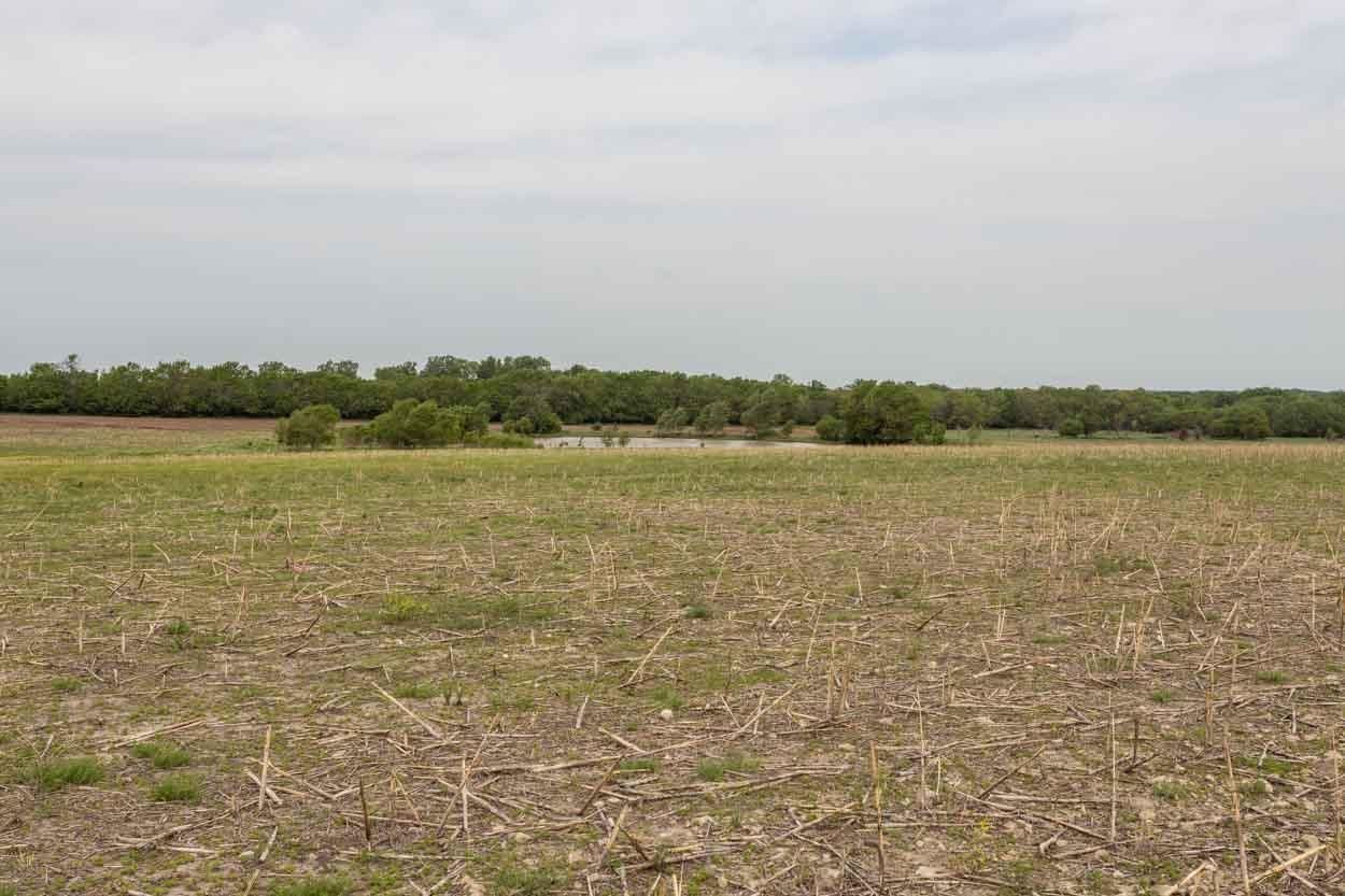 0 Southwest Luna Road El Dorado, KS 67042 - Photo 8 of 17