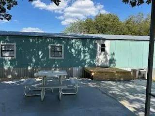 a view of a yard with plants and a trees