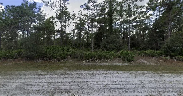 $15,000 | 1023 Japonica Avenue, Indian Lake Estates, FL 33855