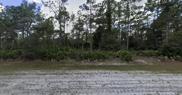 $15,000 | 1023 Japonica Avenue, Indian Lake Estates, FL 33855