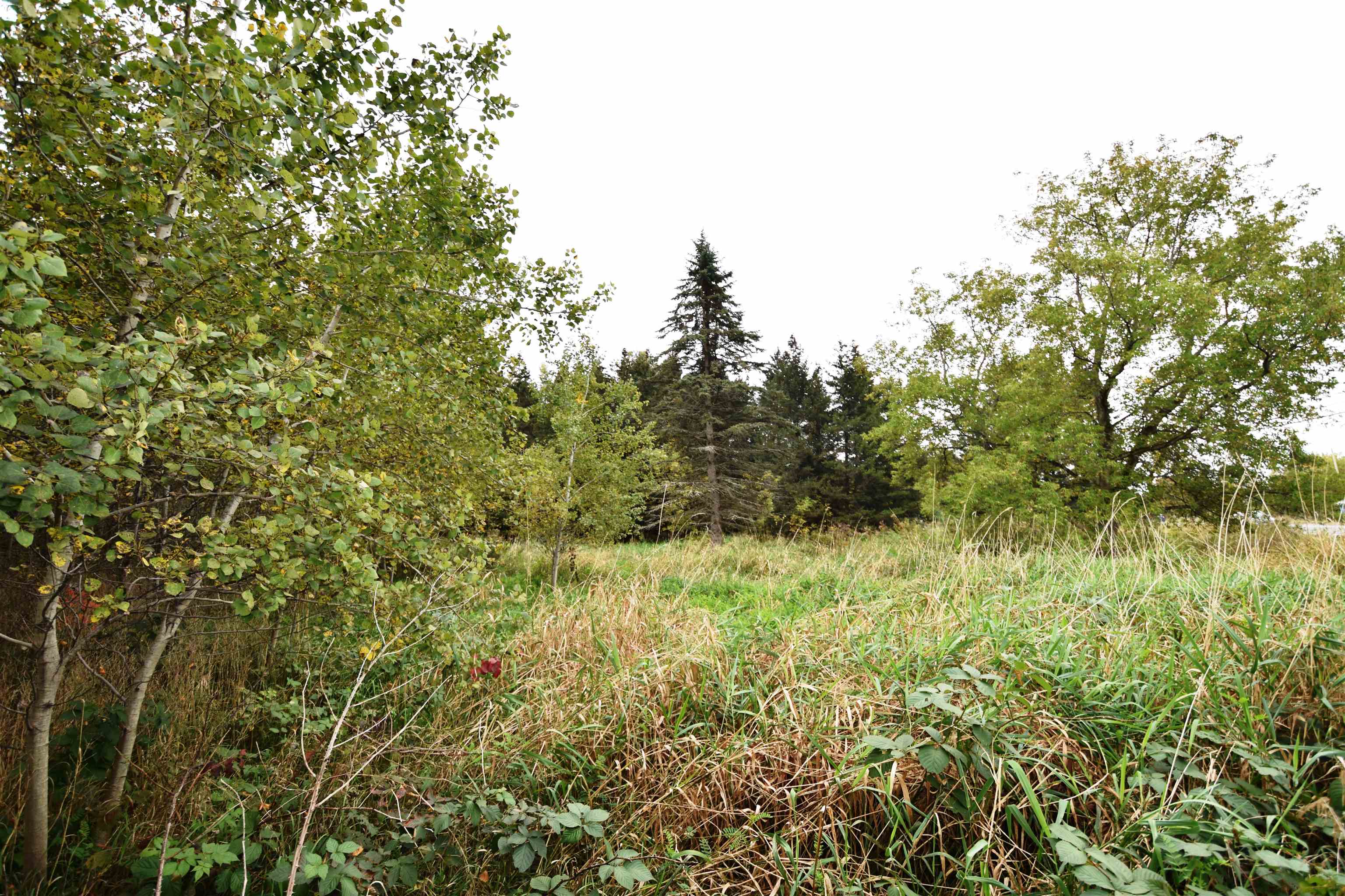 Lot 4 Old Farm Lane, Unit 4 Ferrisburgh, VT 05456 - Photo 2 of 34 Gallery Image 2