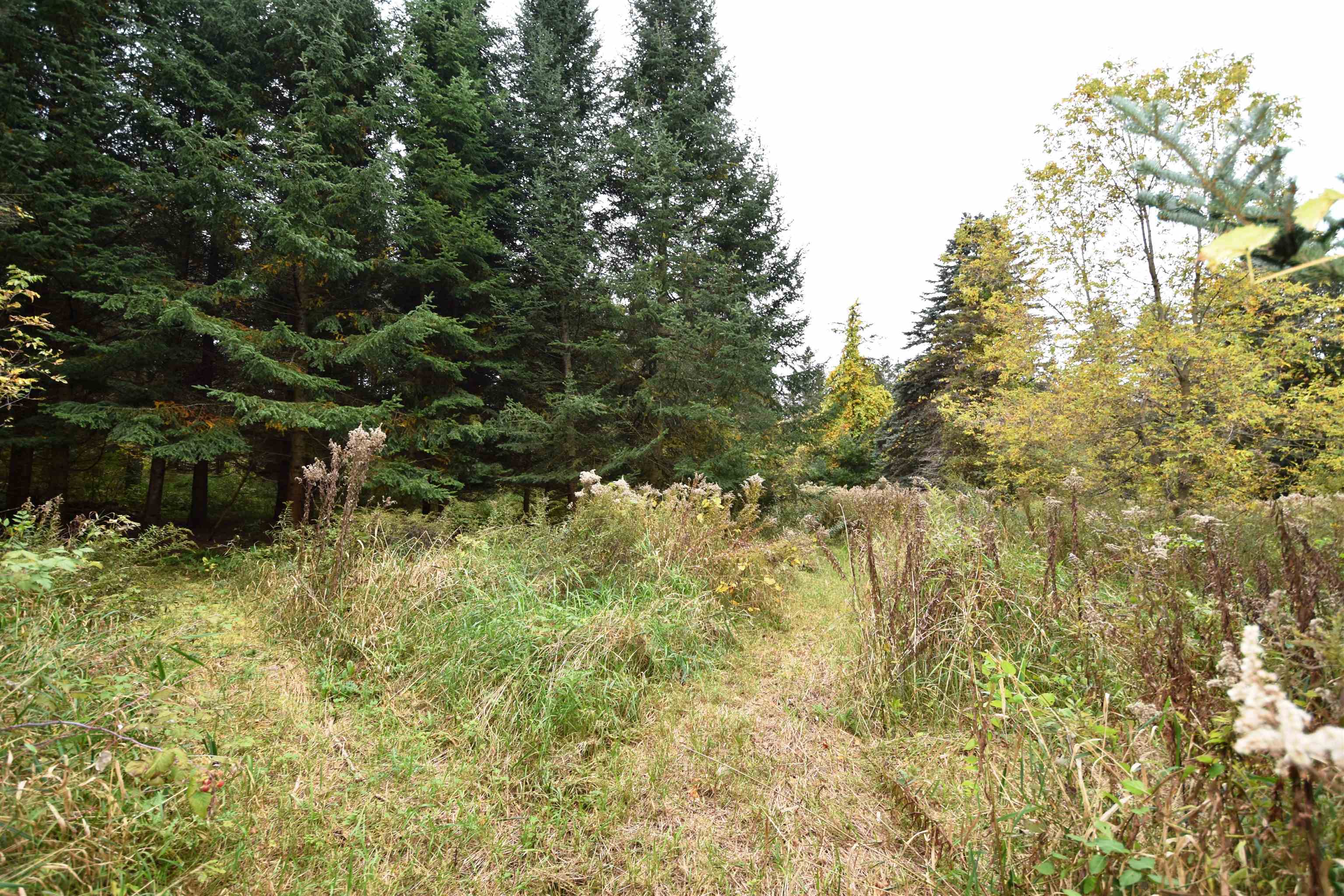 Lot 4 Old Farm Lane, Unit 4 Ferrisburgh, VT 05456 - Photo 21 of 34 Gallery Image 21