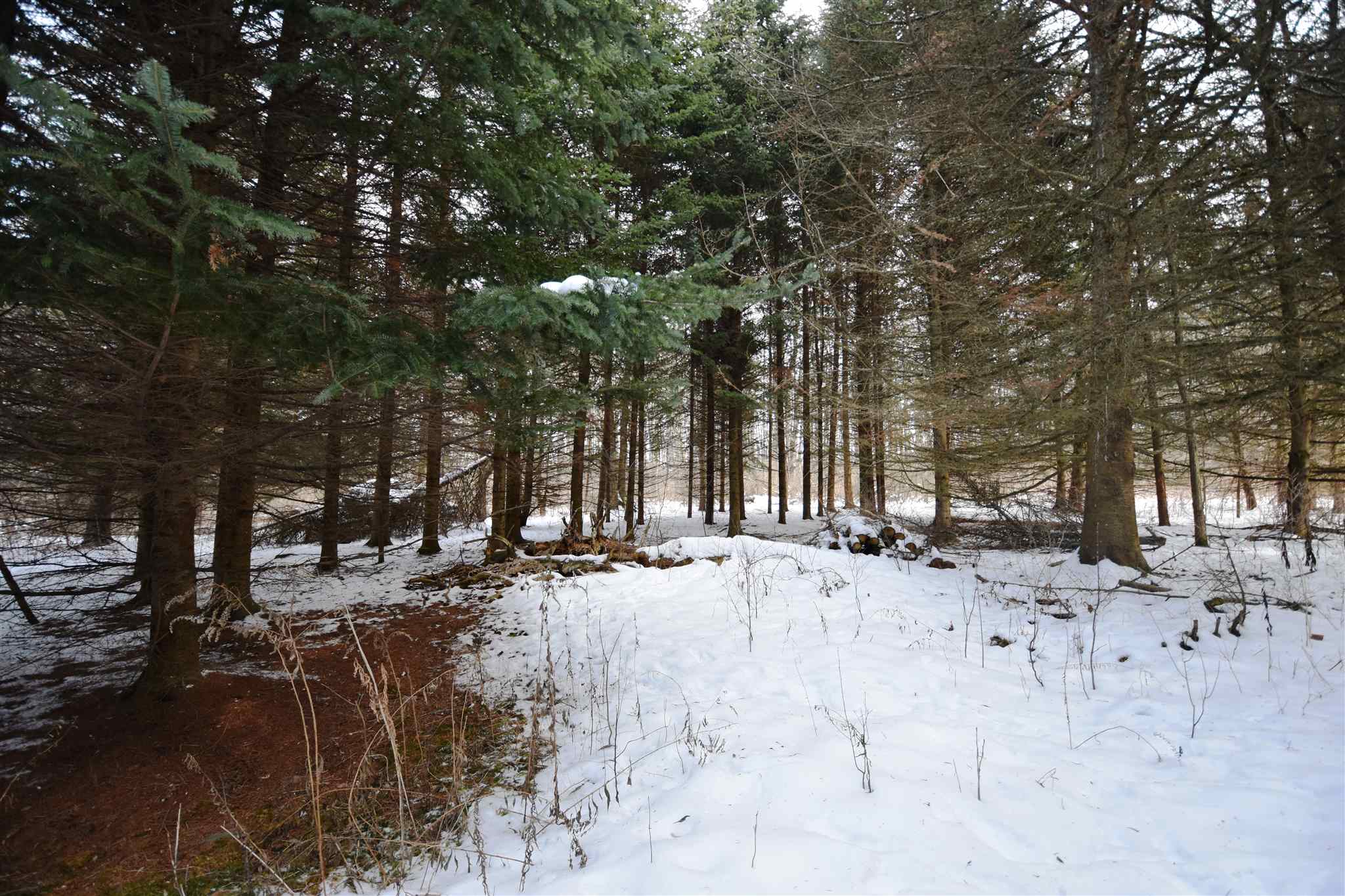 Lot 4 Old Farm Lane, Unit 4 Ferrisburgh, VT 05456 - Photo 27 of 34 Gallery Image 27