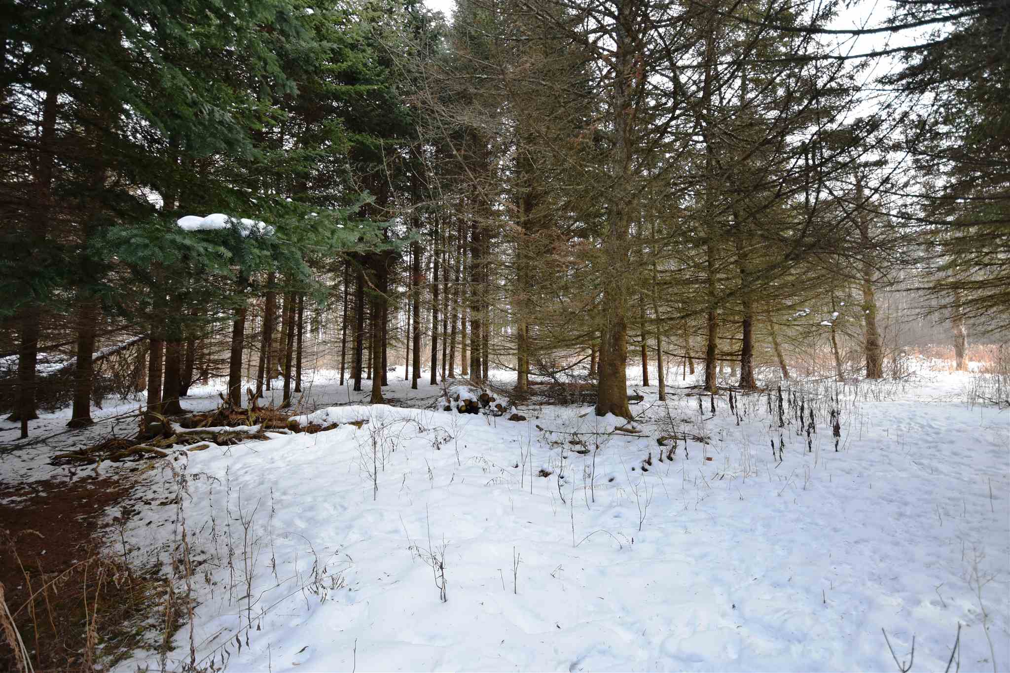 Lot 4 Old Farm Lane, Unit 4 Ferrisburgh, VT 05456 - Photo 28 of 34 Gallery Image 28