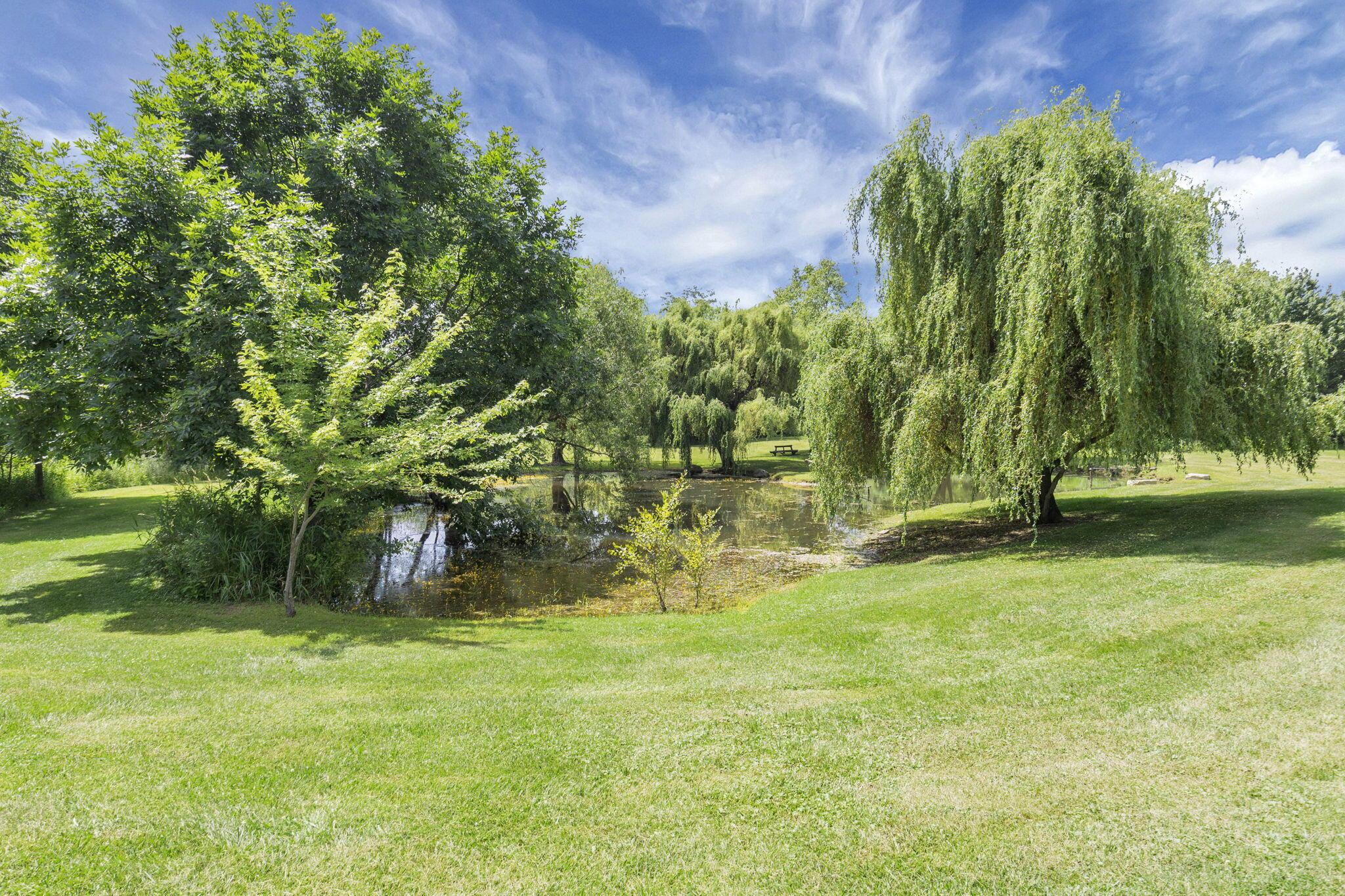 6646 Duffy Road Delaware, OH 43015 - Photo 43 of 61 Pond View