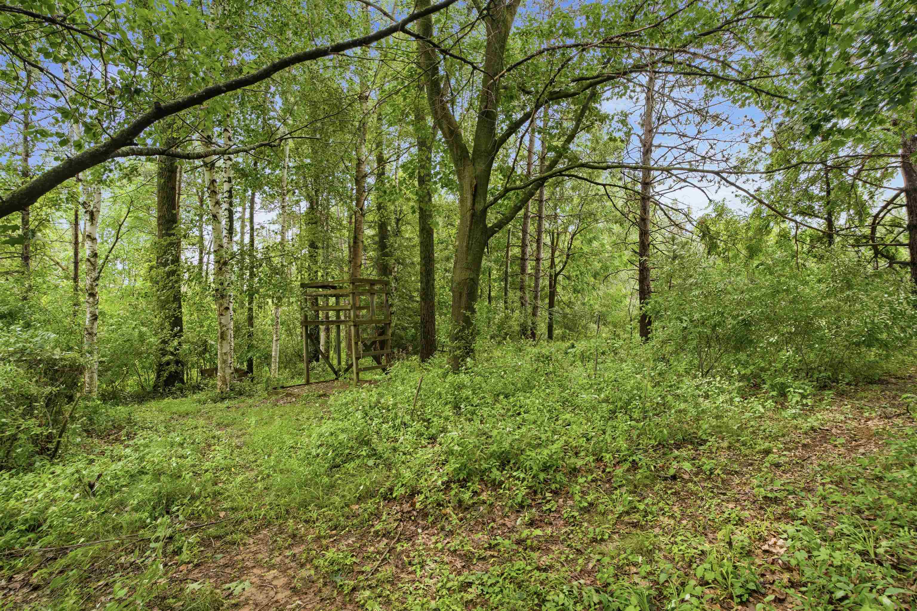 2581 White Pine Road Suamico, WI 54313 - Photo 39 of 47