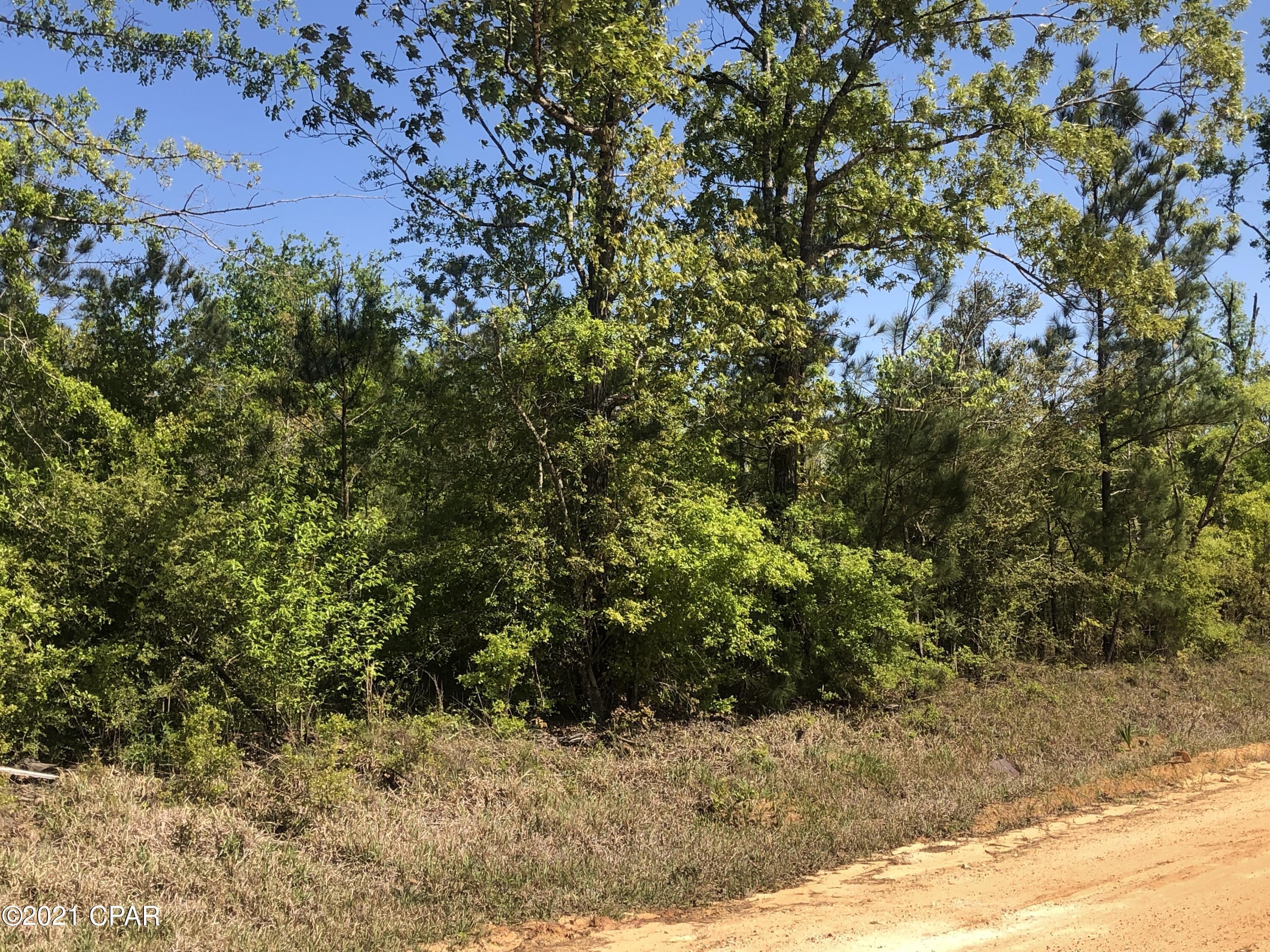 0 Mill Road Cottondale, FL 32431 - Photo 6 of 12