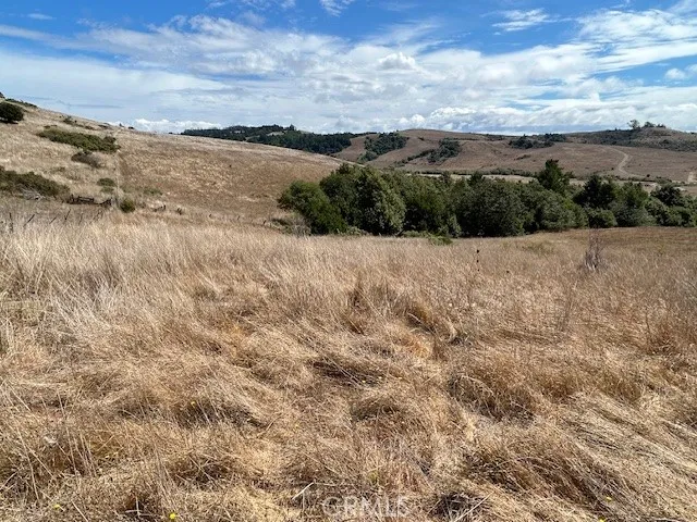 a view of a dry yard with wooden fence