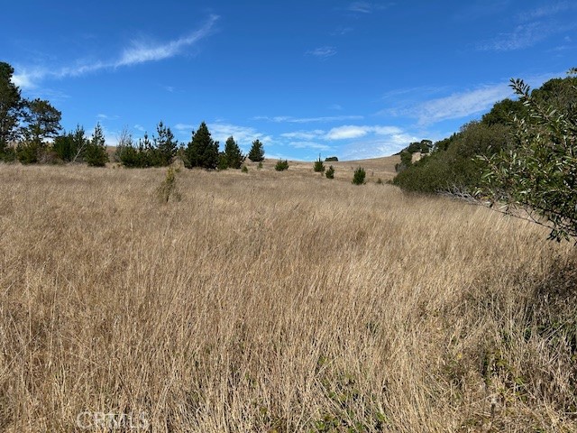 330 Valley Ford Freestone Road Sebastopol, CA 95472 - Photo 21 of 42 a view of a dry yard with wooden fence